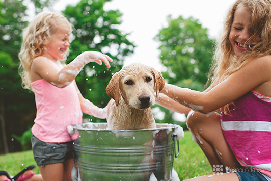 girls washing a dog
