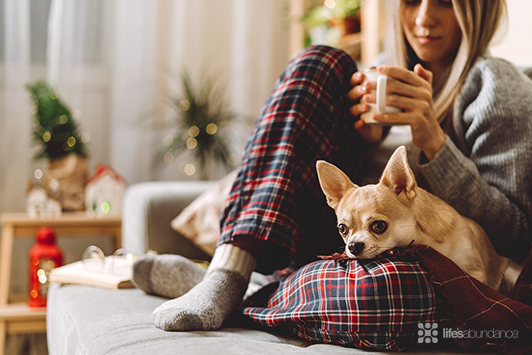 dog sitting on woman's lap cuddling