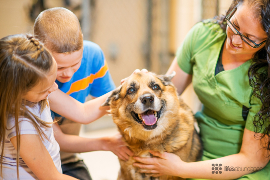 woman and kids petting a rescue dog