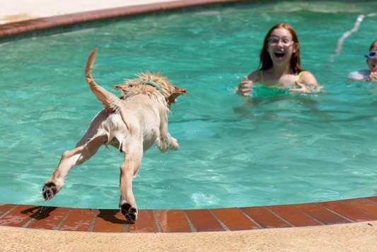 Oliver-leaps