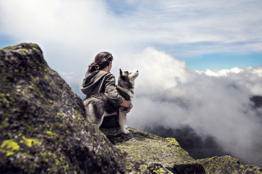 veteran-and-husky